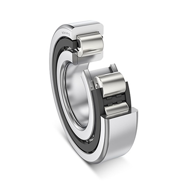 200 Series Cylindrical Roller Bearing